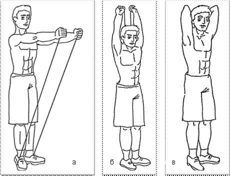 Тренировка плечевого пояса