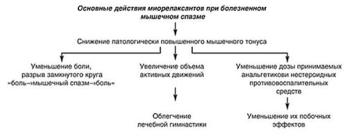 Схема действия миорелаксантов