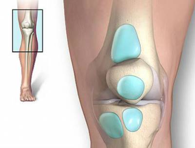 Синовиальные сумки коленного сустава