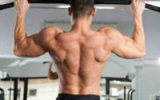 Комплекс упражнений для мышц спины