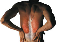 Боль в мышцах спины